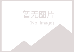 鹤岗兴山匆匆能源有限公司